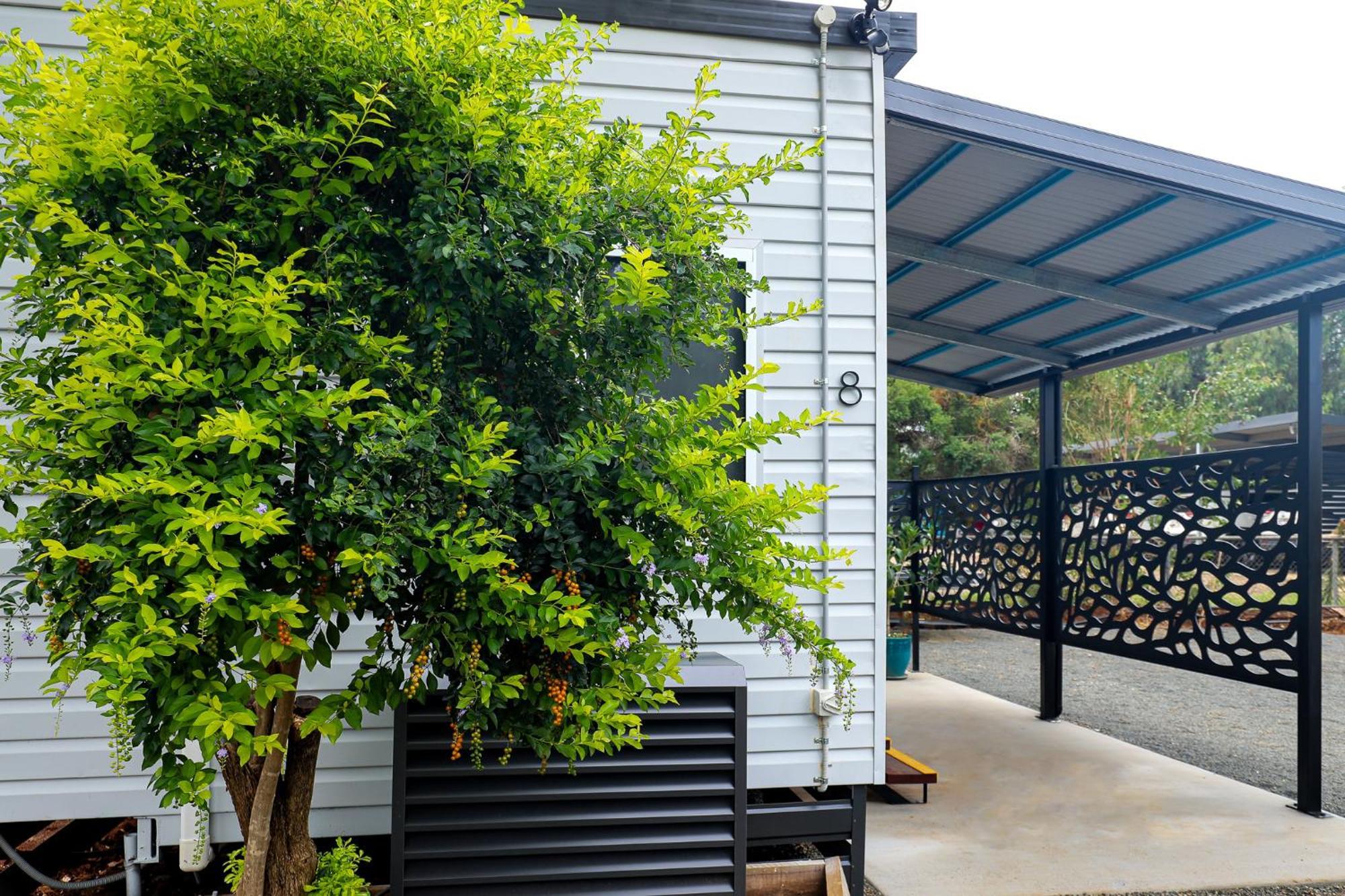 Kingaroy Holiday Park Εξωτερικό φωτογραφία